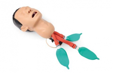 [P73] 전문기관삽관 마네킨